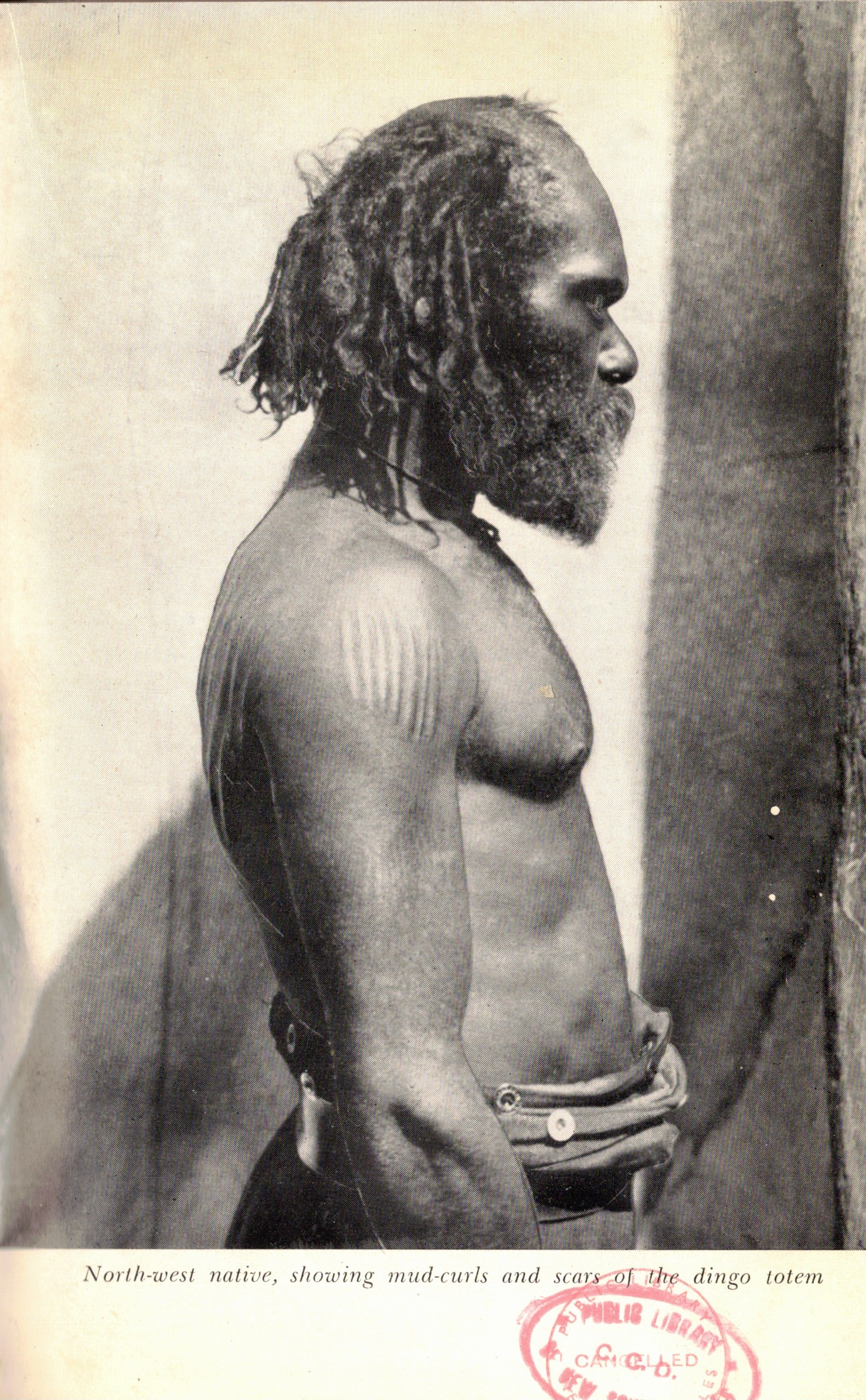 North-west native