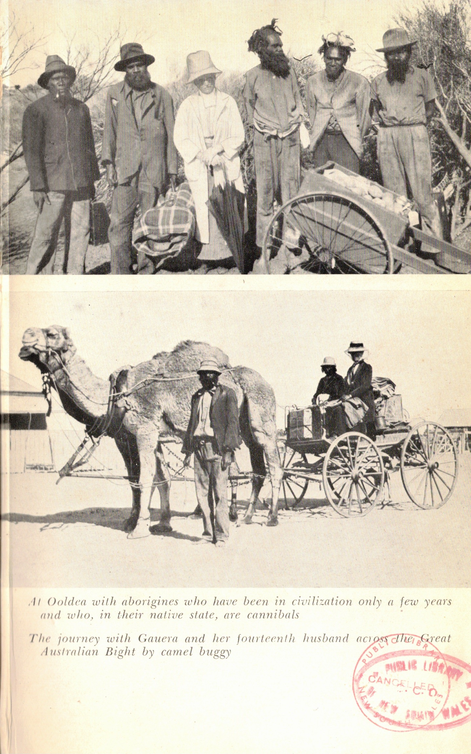 Ooldea and camel buggy