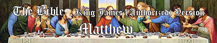 Bible - NT Matthew