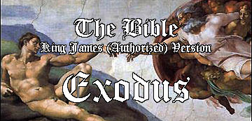 Bible - header image