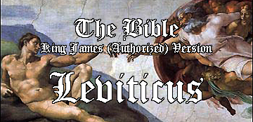 Bible - header image