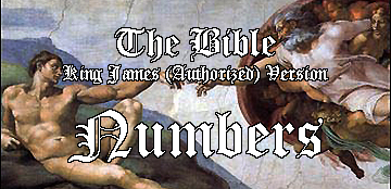 Bible - Numbers