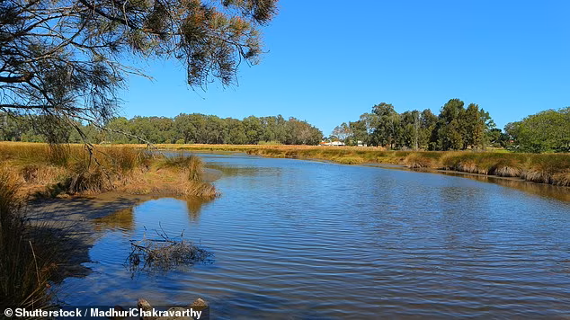 Daily Mail WA tree planting