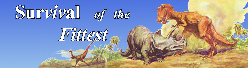 Dinosaur fight