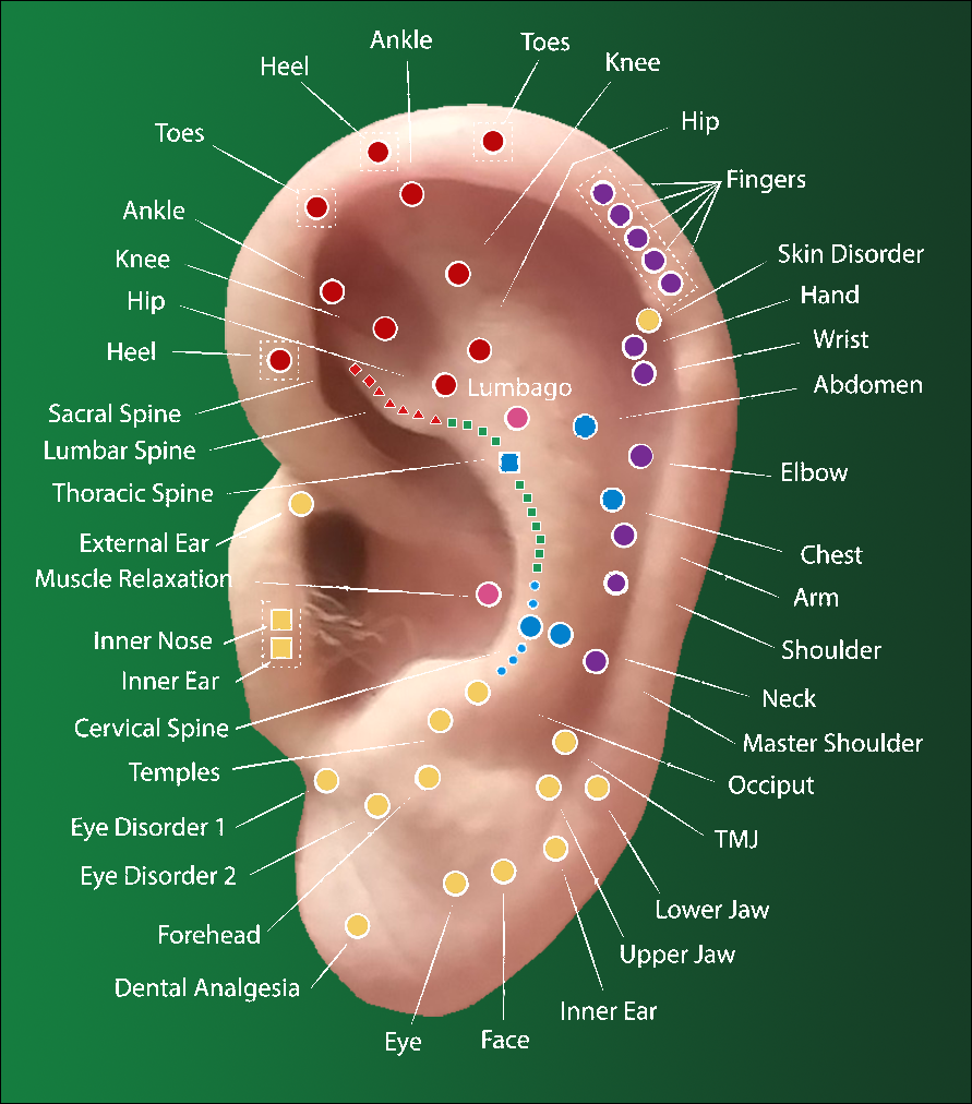 ear acupuncture points
